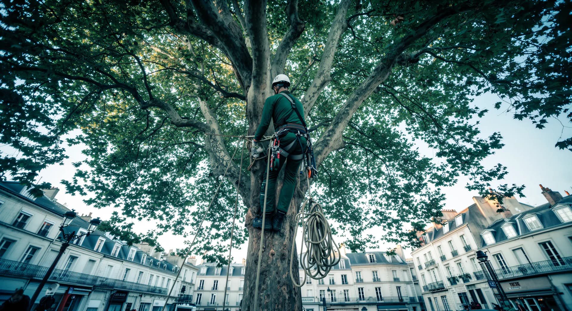 Métiers de l'environnement sans diplôme : salaires 2026